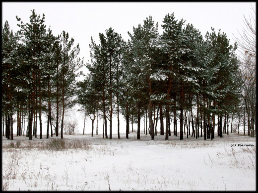 45023 (a): :1600x1200